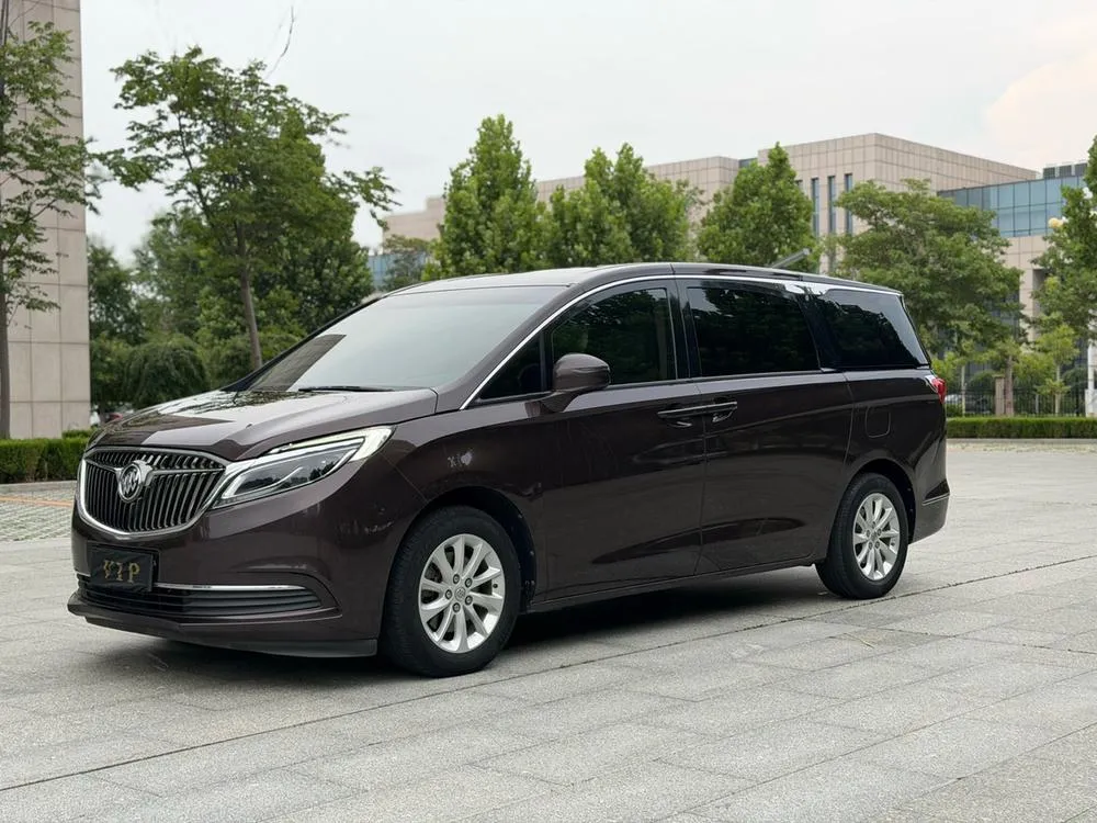 Buick GL8 ES 28T Comfort Version CN6, 2018 — фото 1