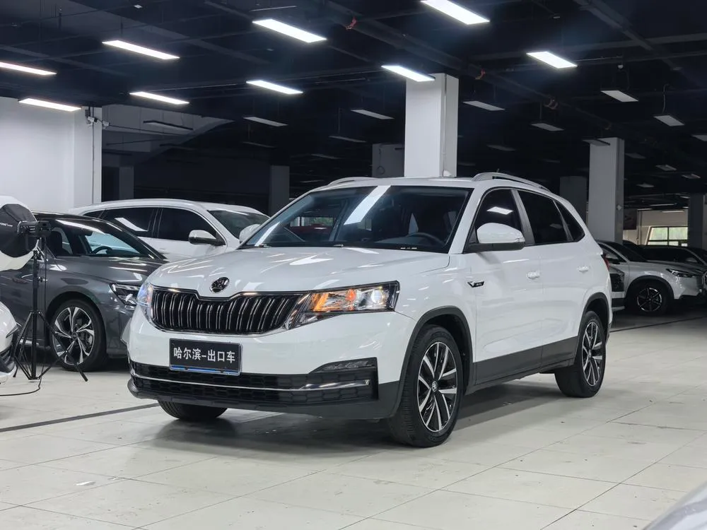 Skoda Kamiq Facelift 1.5L Auto Edition, 2023 — фото 1