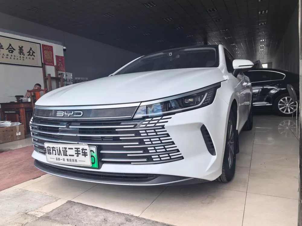 BYD Destroyer 05, 2024