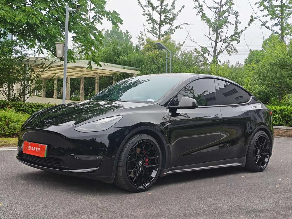 Tesla Model Y Performance High Performance AWD Edition, 2021 — фото 1