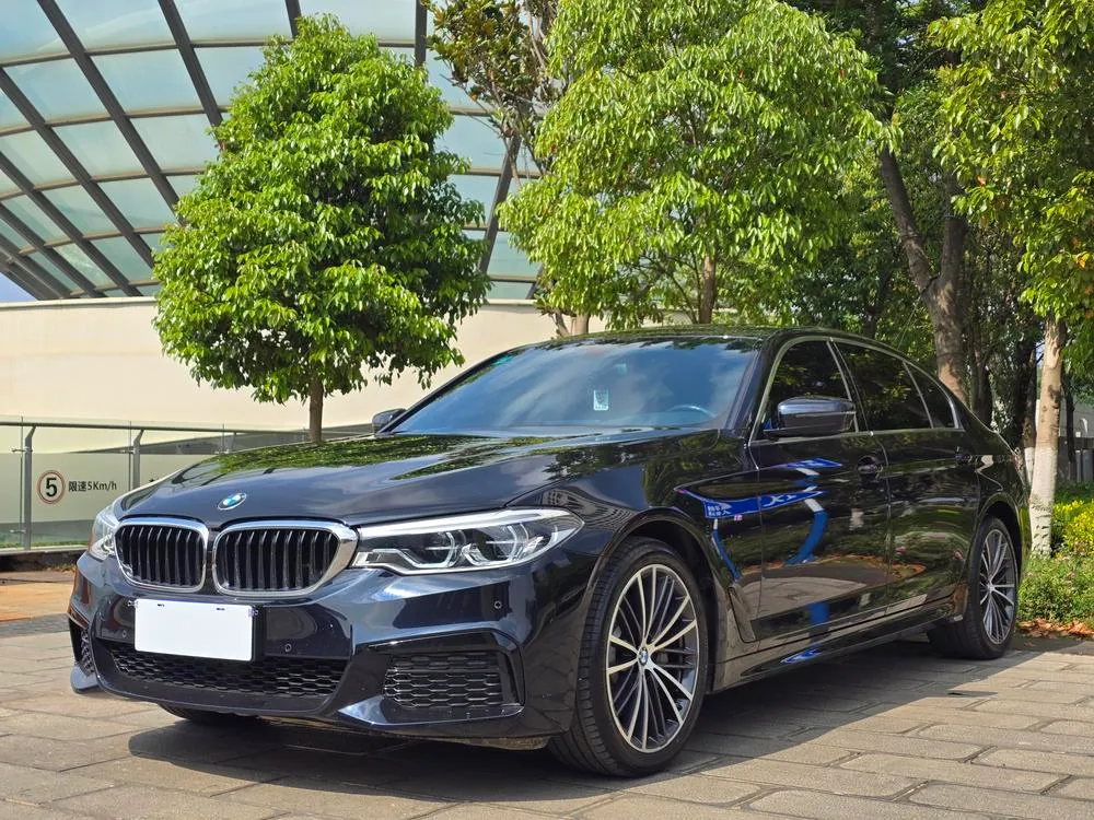 BMW 5-Series 530Li Leading Version M Sport, 2020 — фото 1