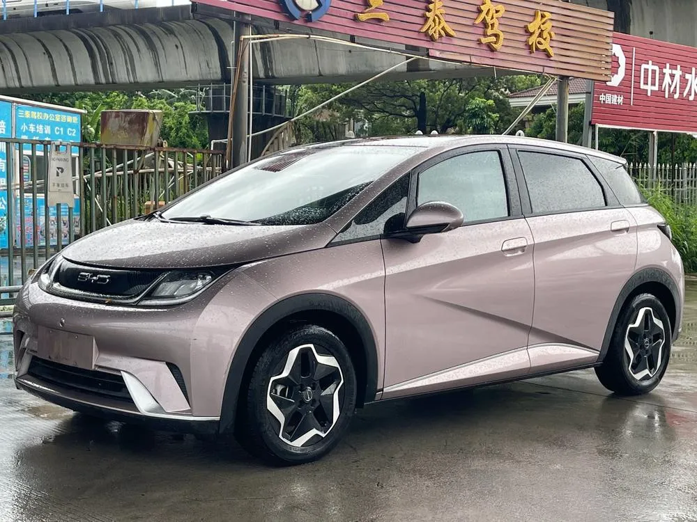BYD Dolphin, 2023