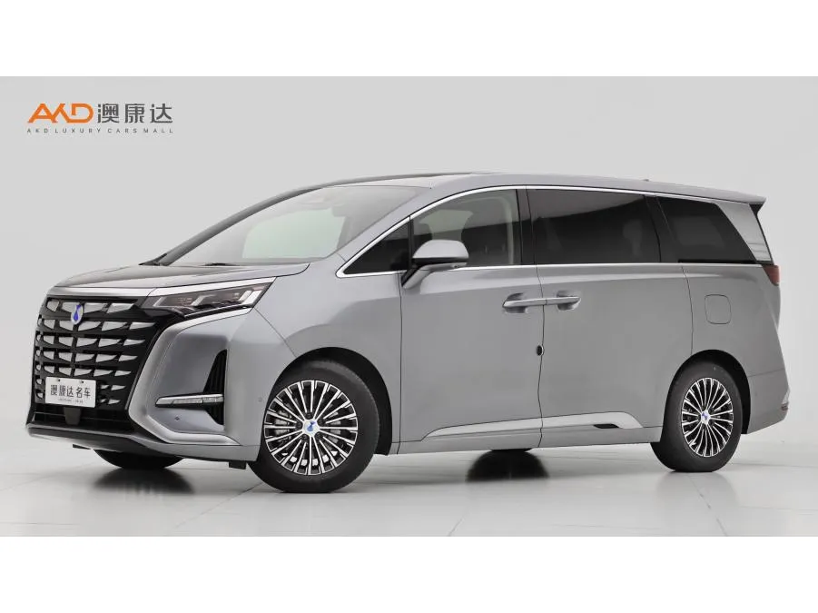 Denza D9 DM 970 4WD Flagship Version, 2022 — фото 1