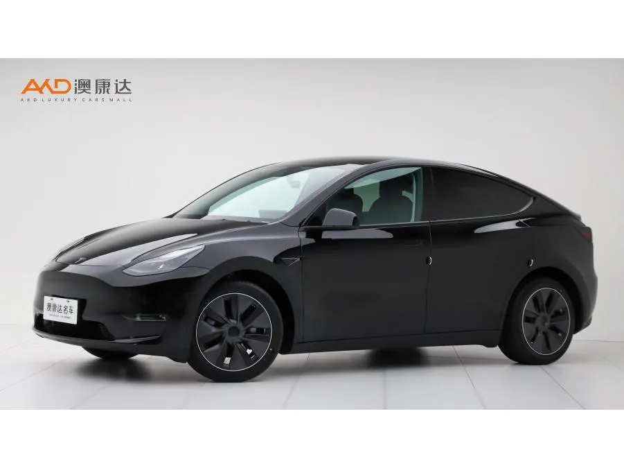 Tesla Model Y, 2022