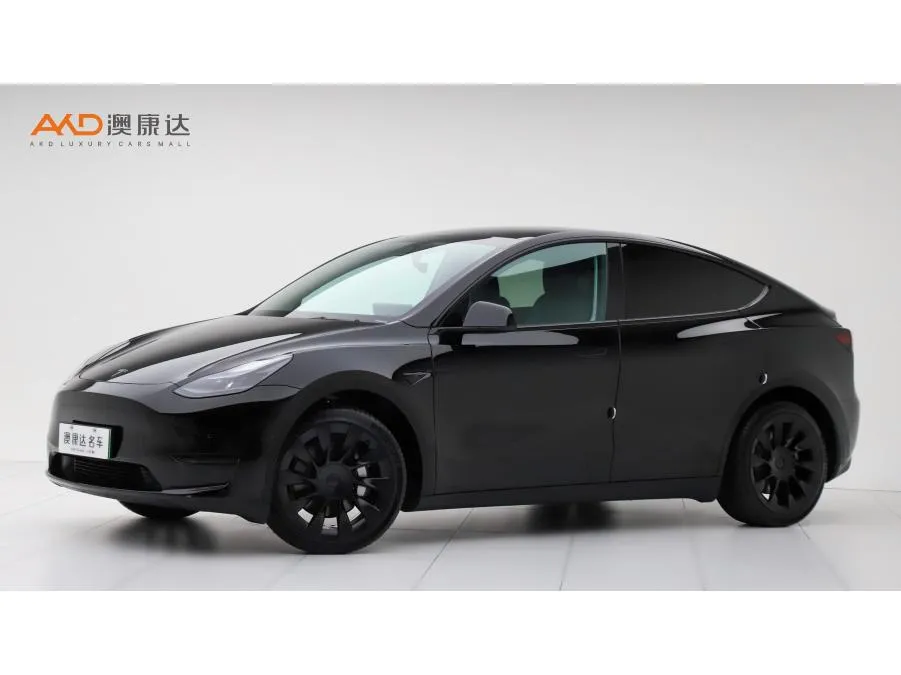 Tesla Model Y, 2022