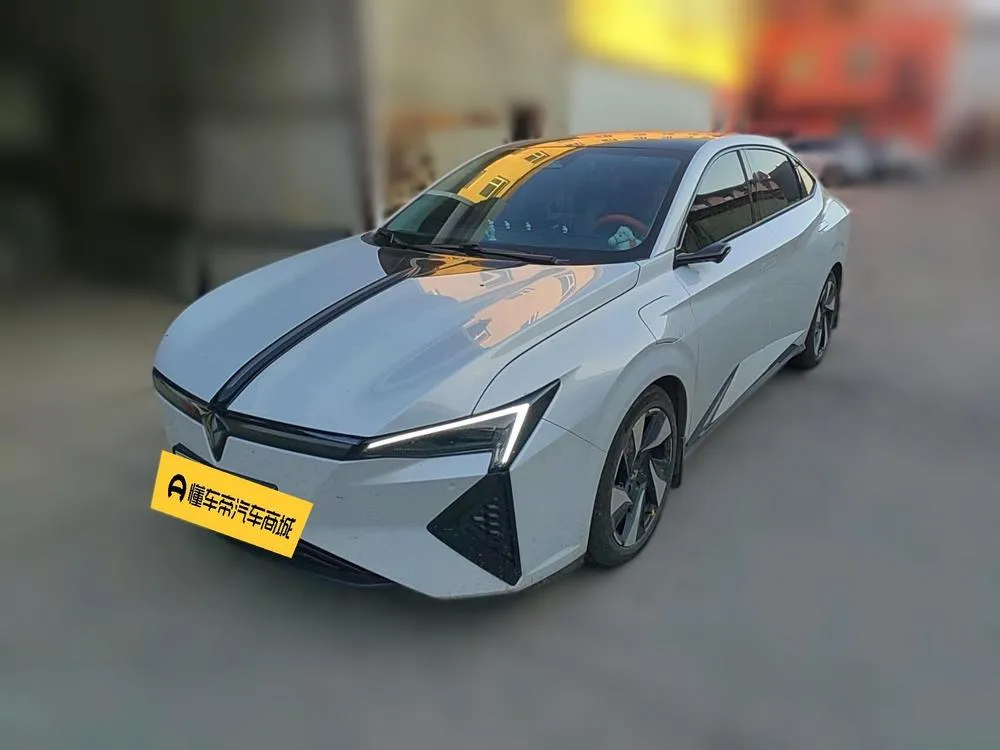 Lingxi L, 2024
