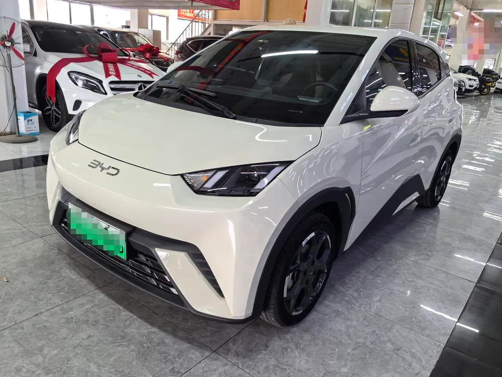 BYD Seagull, 2024