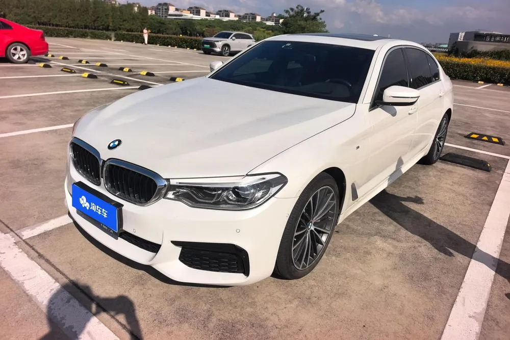 BMW 5-Series 530Li Prestige Version M Sport, 2020 — фото 1