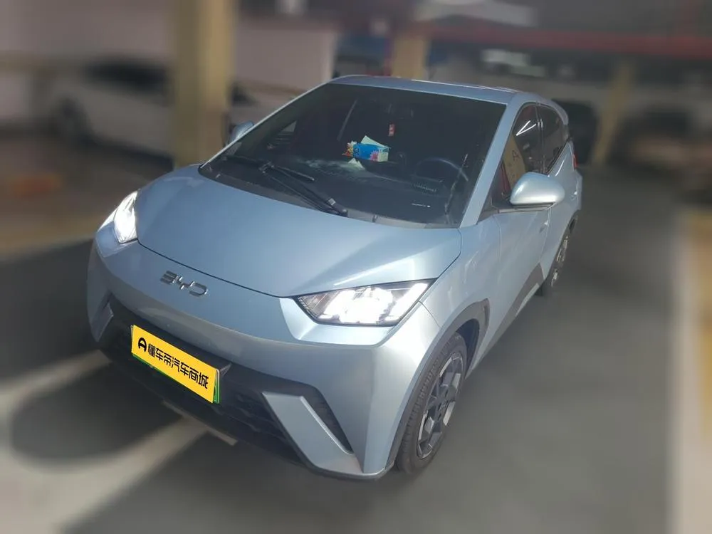 BYD Seagull, 2025