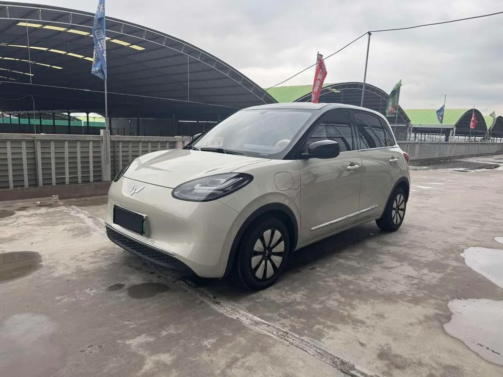 Wuling Bingo, 2024