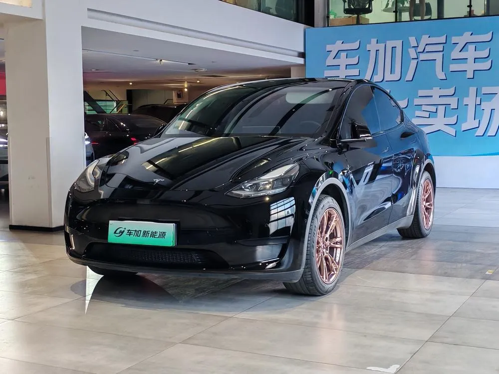 Tesla Model Y, 2022