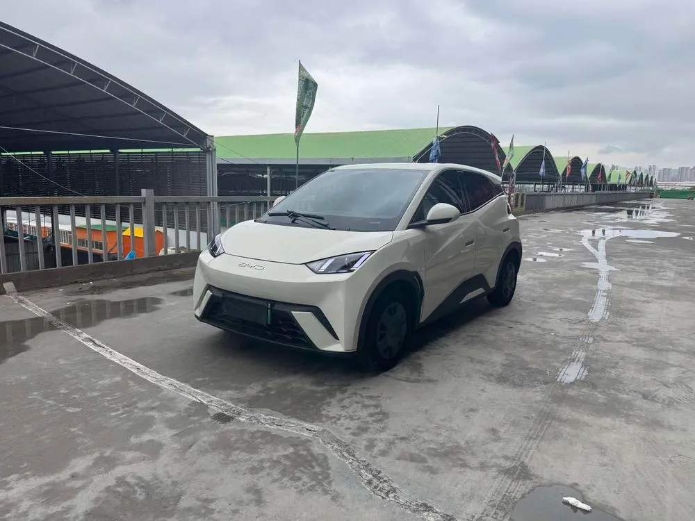 BYD Seagull, 2023