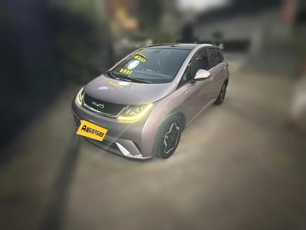 BYD Dolphin, 2021