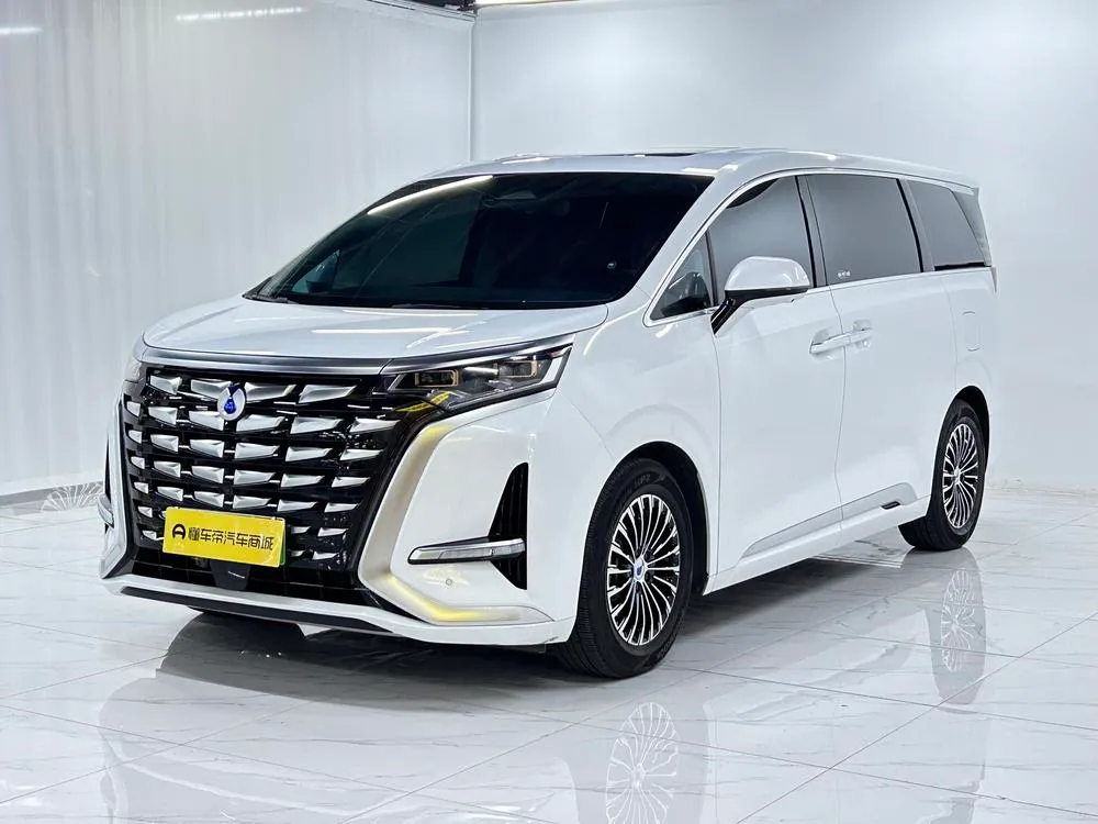 Denza D9 DM 980 4WD Premium Version, 2024 — фото 1