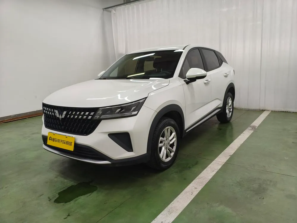 Wuling Xingchi, 2022