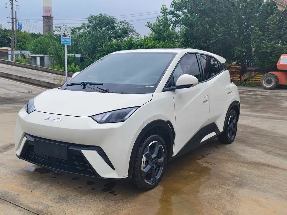 BYD Seagull, 2023