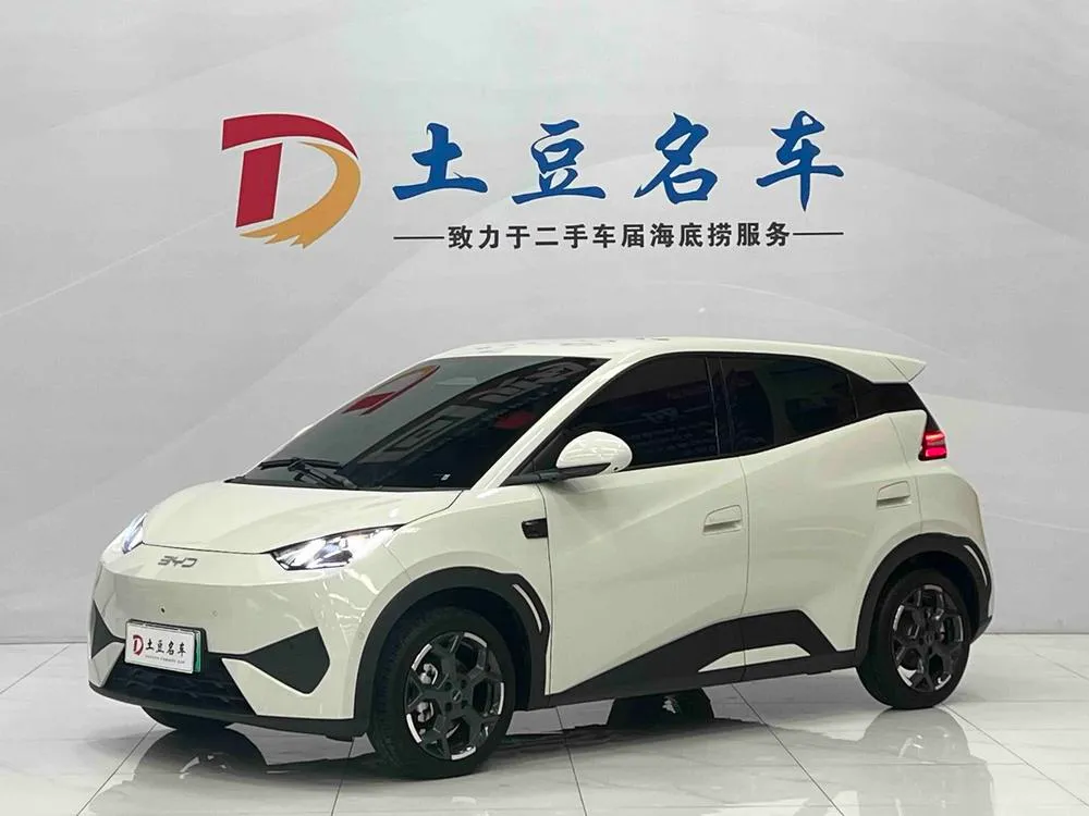 BYD Seagull, 2025