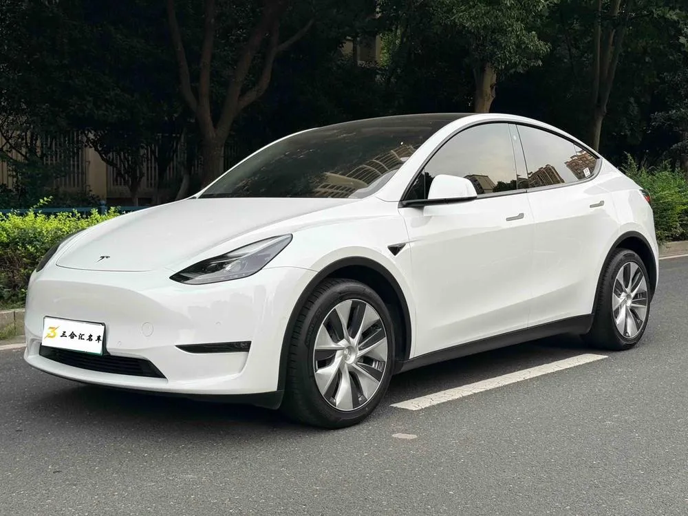 Tesla Model Y Long Range AWD Edition, 2021 — фото 1