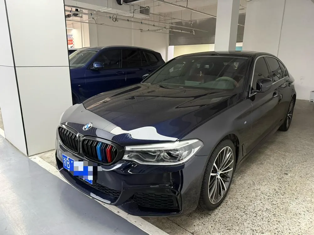 BMW 5-Series 530Li Leading Version M Sport, 2020 — фото 1