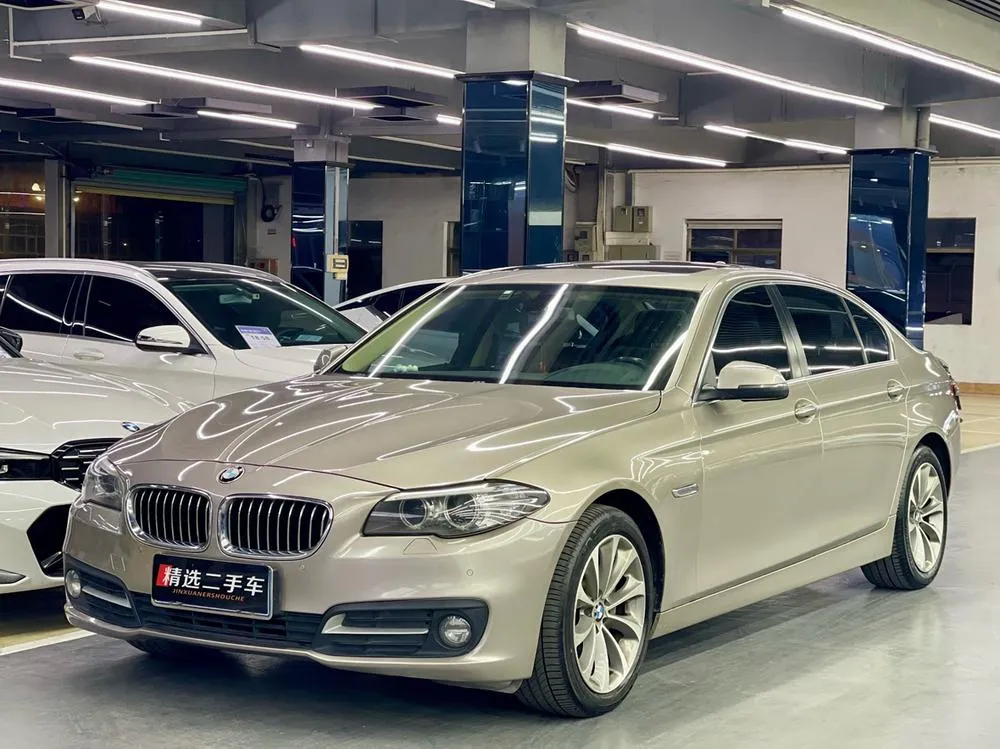 BMW 5-Series 528Li Leading Version, 2017 — фото 1
