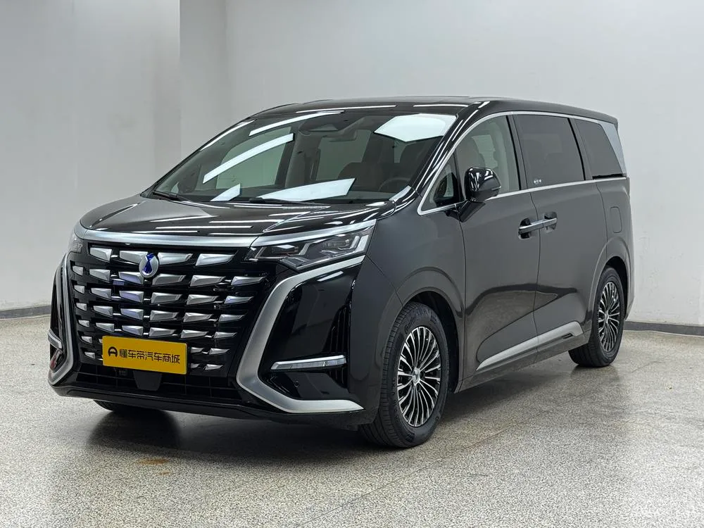 Denza D9 DM, 2024