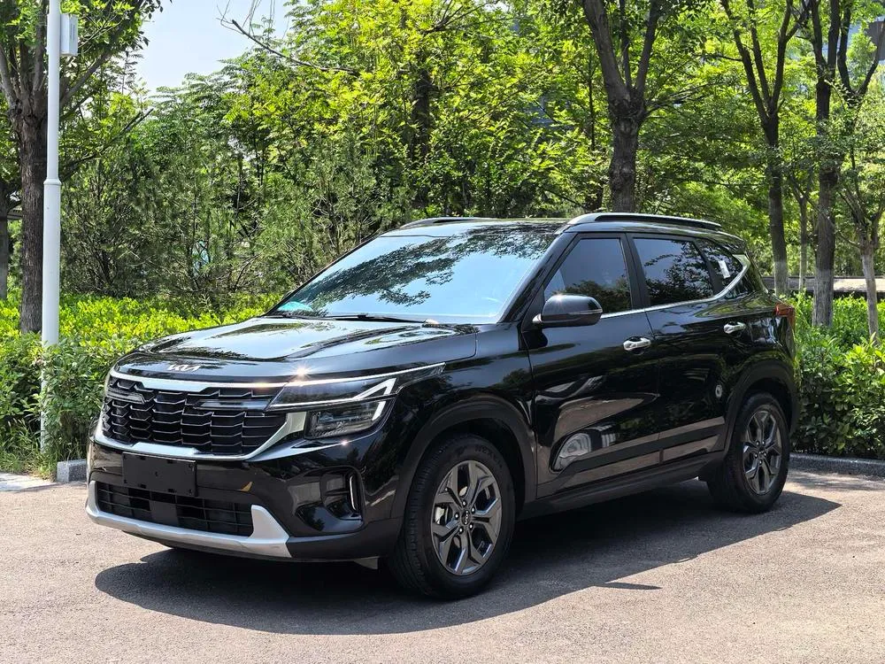 Kia Seltos 1.5L IVT Luxury Edition, 2023 — фото 1