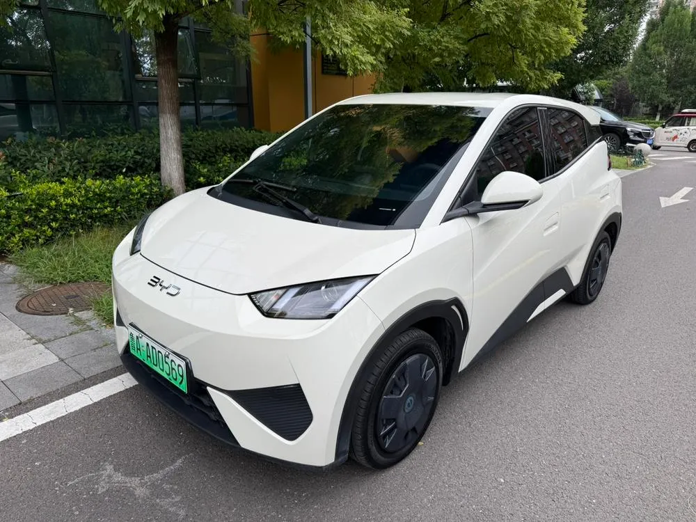 BYD Seagull 305KM Edition, 2025 — фото 1