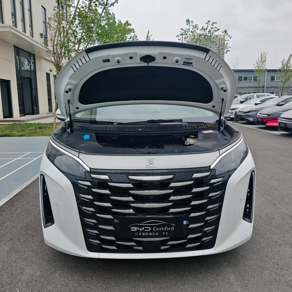BYD Xia DM-i 180KM Version, 2025 — фото 1