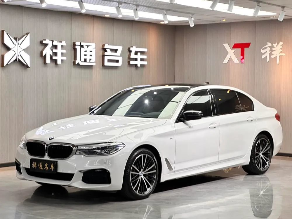 BMW 5-Series 530Li Prestige Version M Sport, 2020 — фото 1