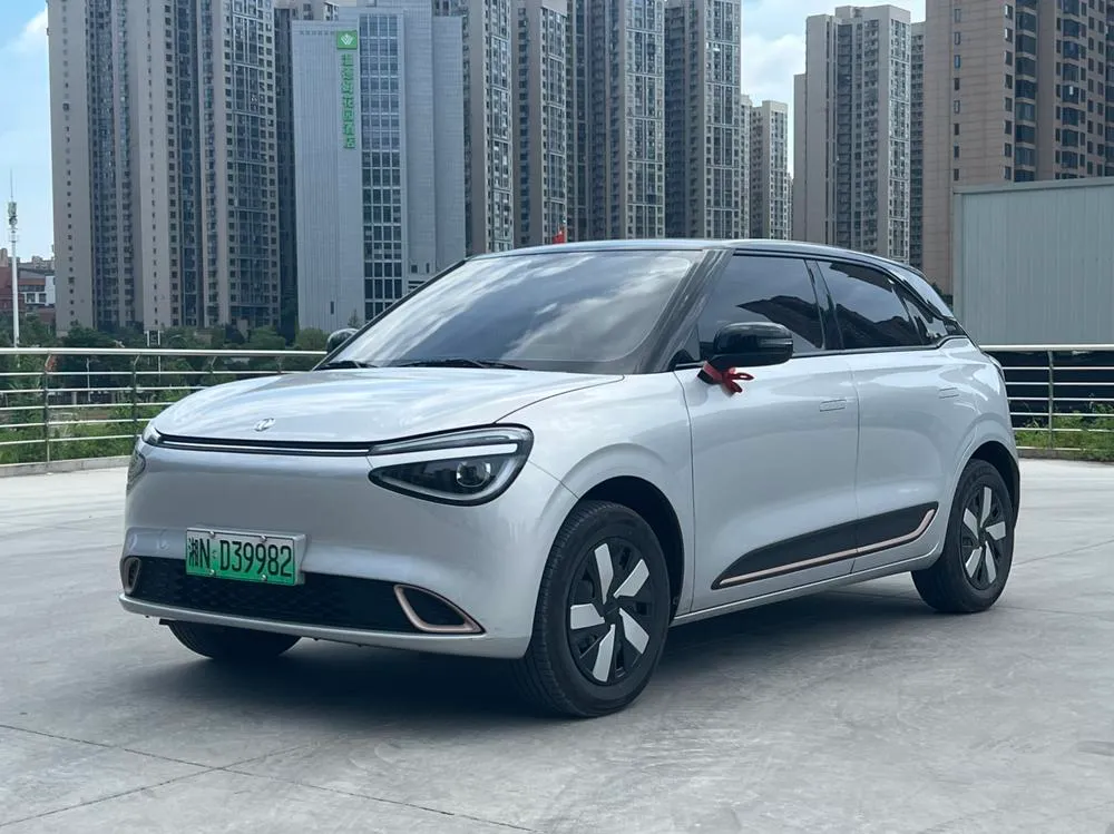 Dongfeng Yipai Nami 01 330Lite, 2024 — фото 1