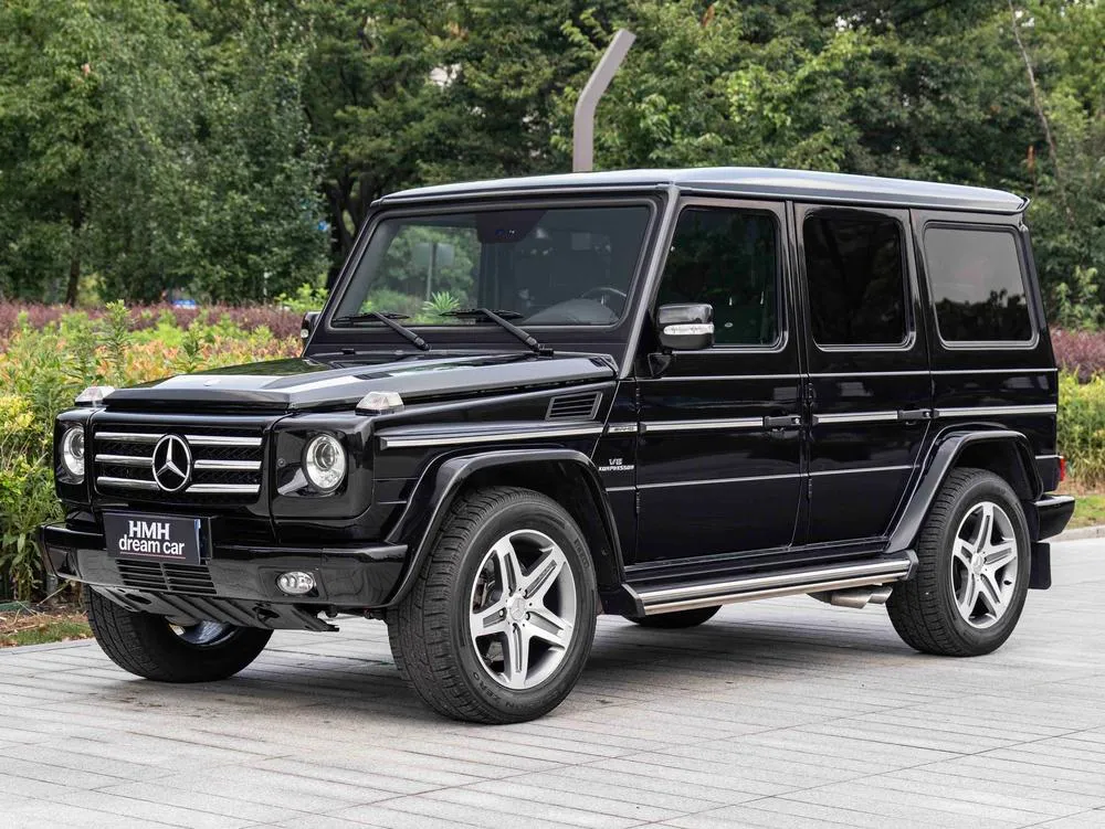Mercedes-Benz G-Class AMG AMG G 55, 2009 — фото 1