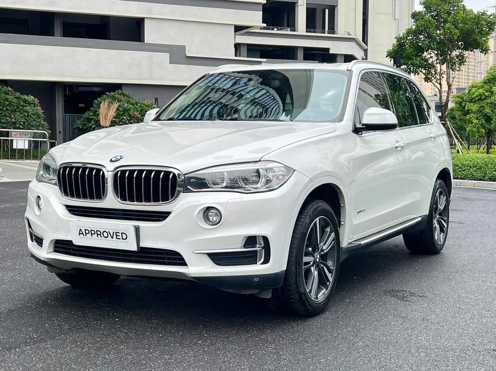 BMW X5 (Import) xDrive35i Version, 2017 — фото 1