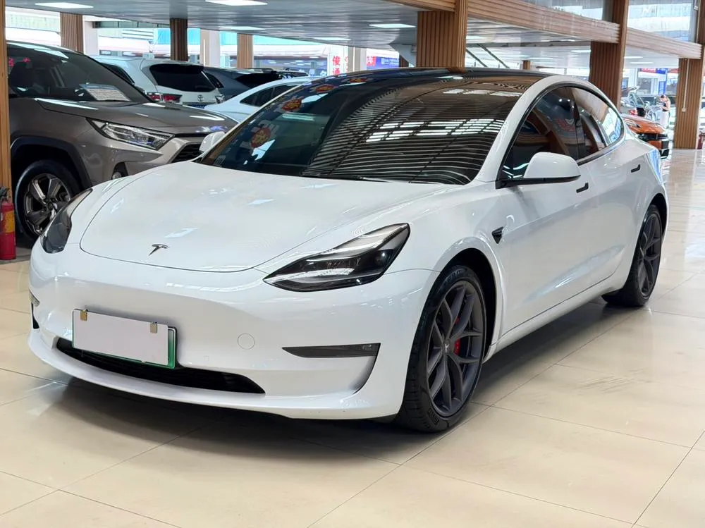 Tesla Model 3 Performance High Performance AWD Edition 3D3/3D1, 2021 — фото 1