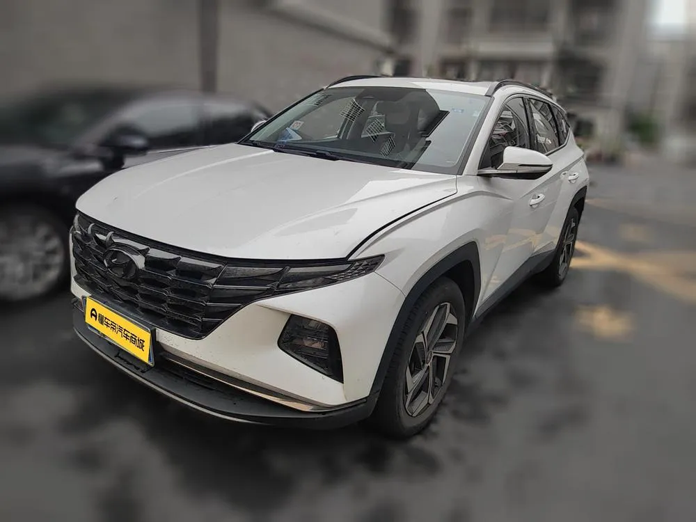Hyundai Tucson L 1.5T DLX 2WD Luxury Edition, 2023 — фото 1