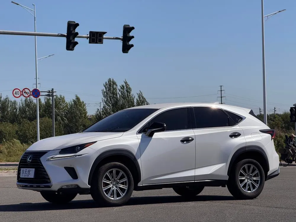 Lexus NX 200 FWD Edition CN6, 2020 — фото 1