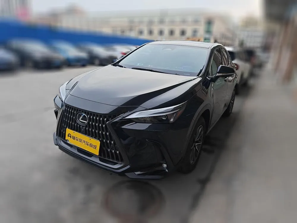Lexus NX 200 FWD FUN, 2025 — фото 1