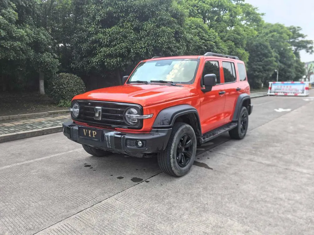 Tank 300 Offroad Edition 2.0T, 2021 — фото 1