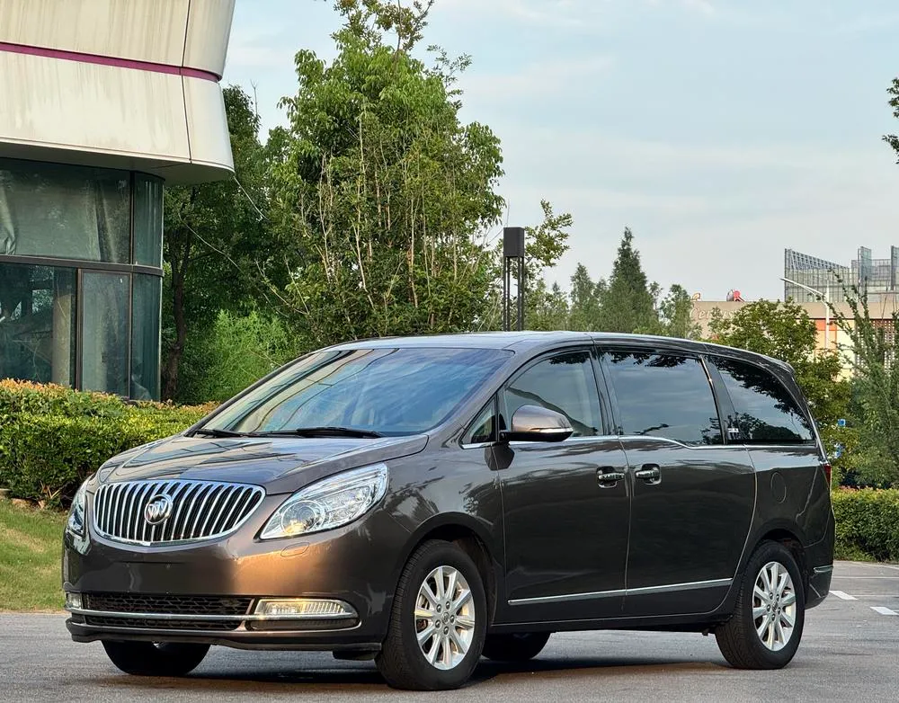 Buick GL8 3.0L GT Luxury Business Elegant Edition, 2013 — фото 1