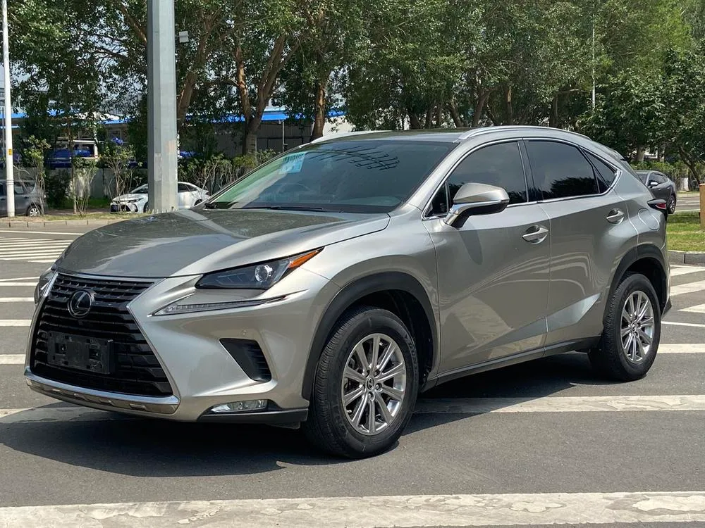 Lexus NX 200 Style Edition CN6, 2020 — фото 1