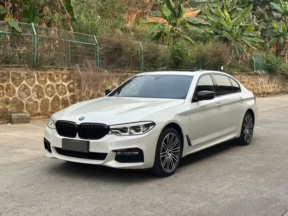 BMW 5-Series 530Li Leading Version M Sport, 2019 — фото 1