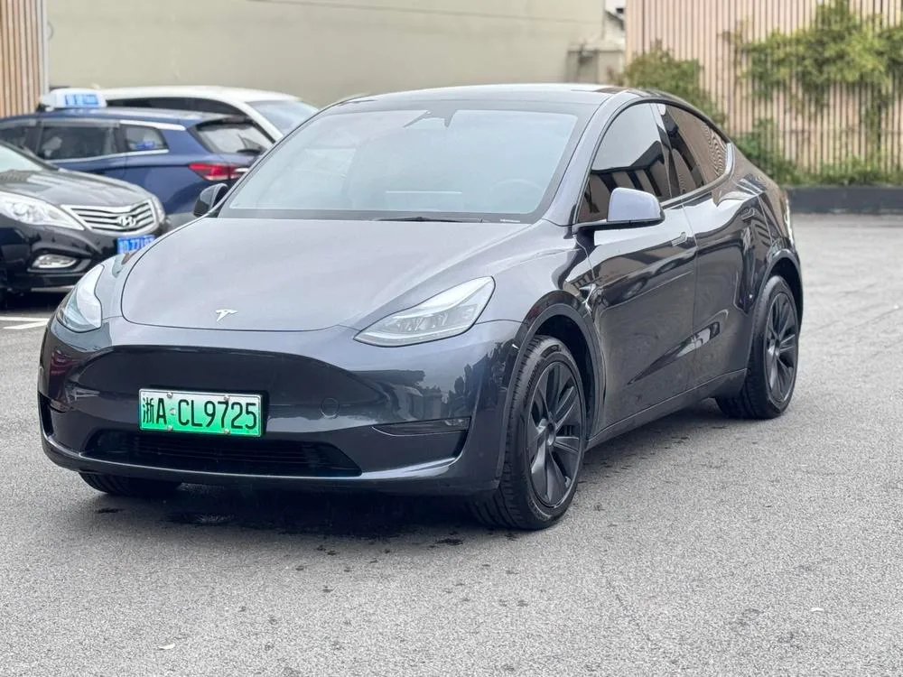Tesla Model Y Long Range AWD Edition, 2024 — фото 1