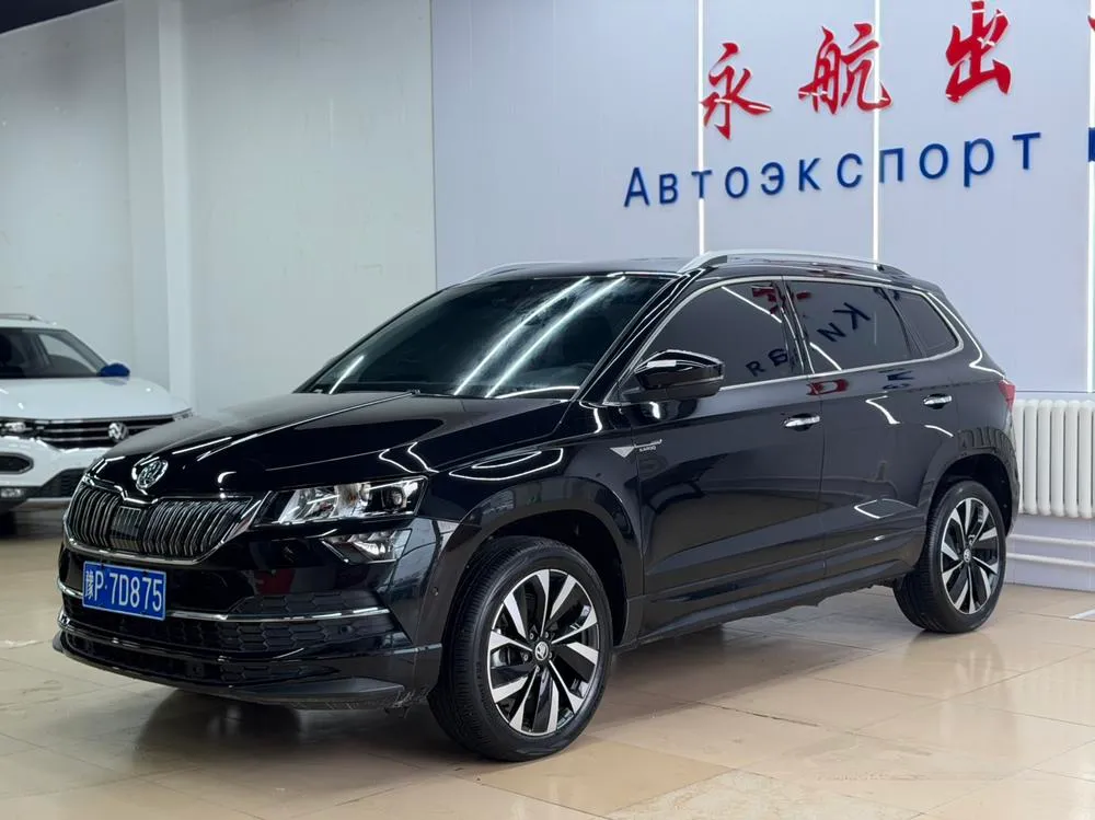 Skoda Karoq TSI280 Edition, 2023 — фото 1