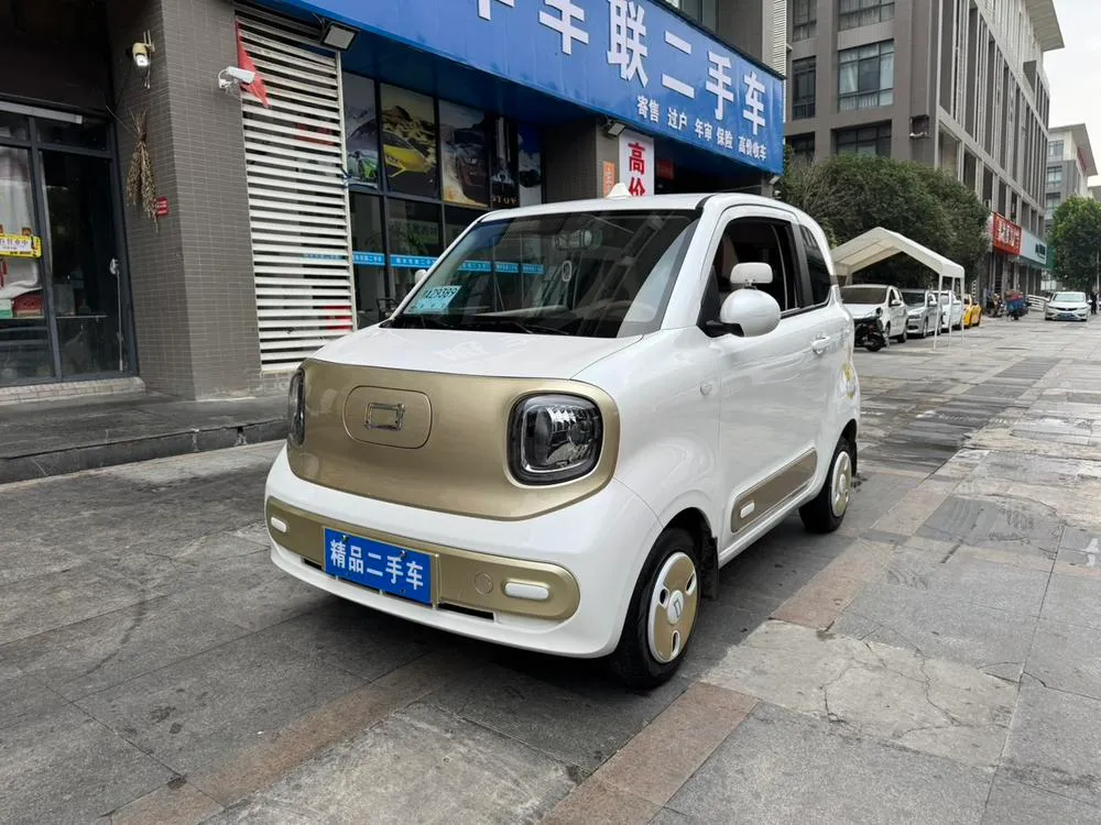 Besturn Bestune Pony, 2024