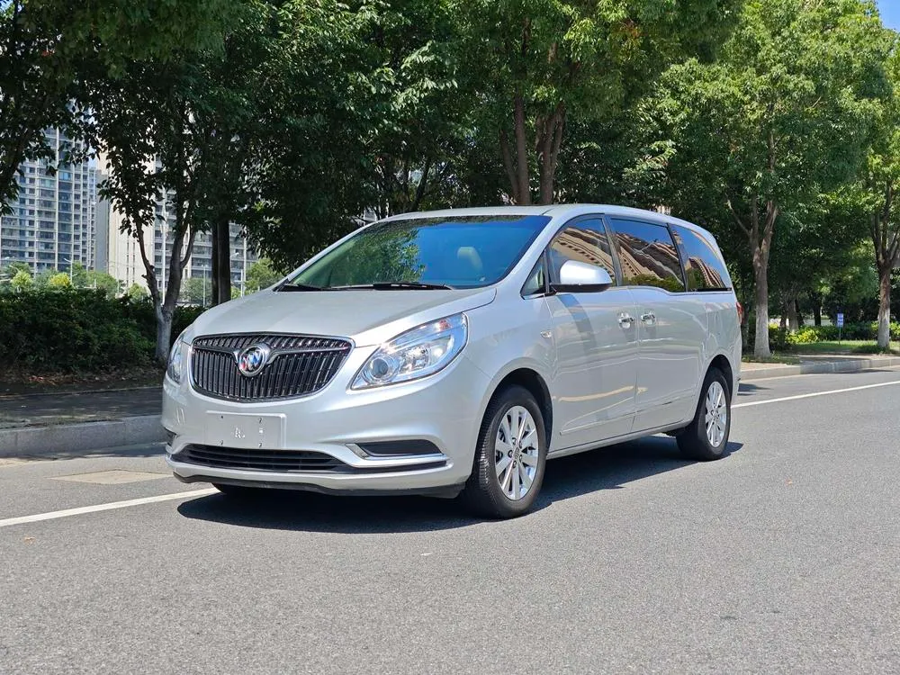 Buick GL8 28T Luxury Version CN6, 2018 — фото 1