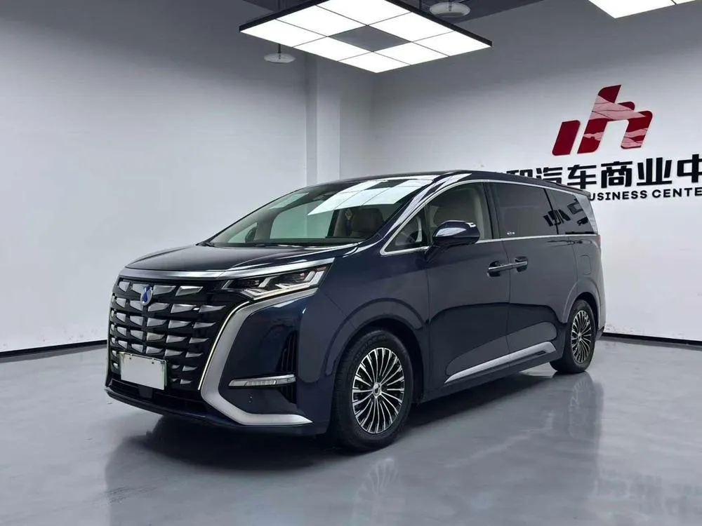 Denza D9 DM, 2024