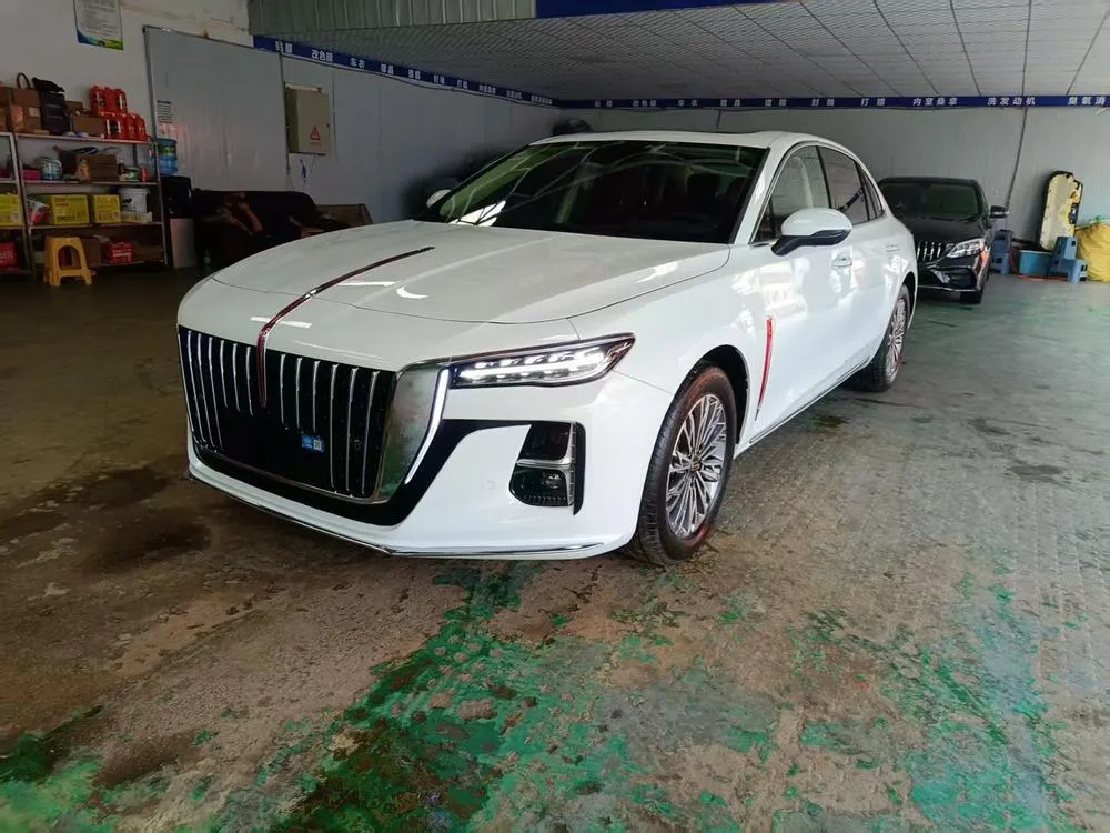Hongqi H5, 2025