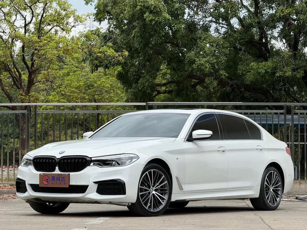 BMW 5-Series, 2020