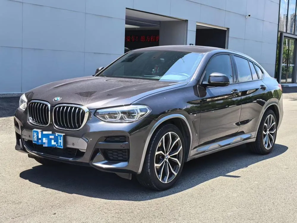 BMW X4 xDrive25i M Offroad, 2020 — фото 1