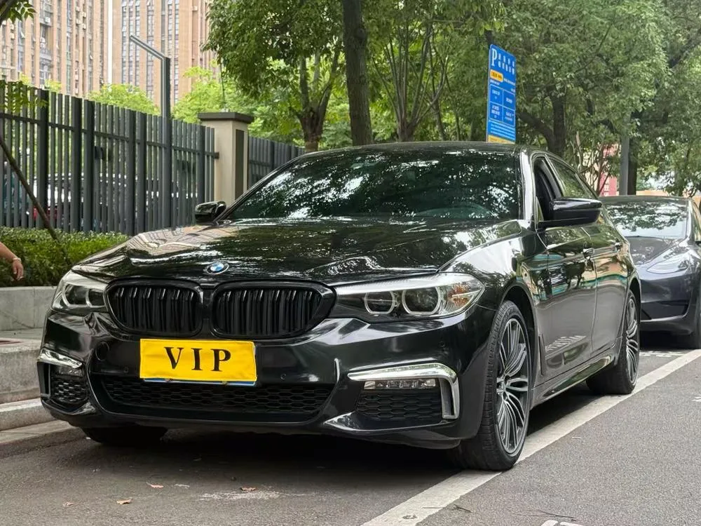 BMW 5-Series Facelift 530Li xDrive M Sport, 2018 — фото 1