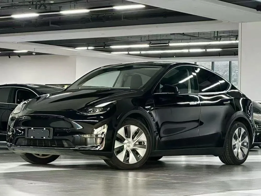 Tesla Model Y Standard Range Edition, 2021 — фото 1